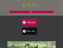 Tablet Screenshot of crocpoils.fr